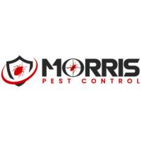 Morris Wasp Removal Adelaide image 1